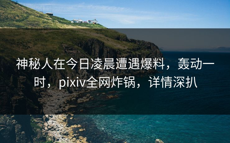 神秘人在今日凌晨遭遇爆料，轰动一时，pixiv全网炸锅，详情深扒