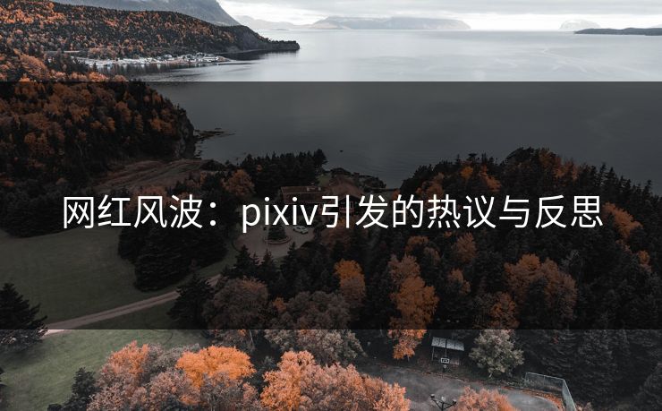 网红风波：pixiv引发的热议与反思