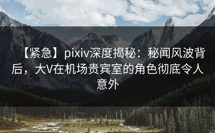 【紧急】pixiv深度揭秘：秘闻风波背后，大V在机场贵宾室的角色彻底令人意外