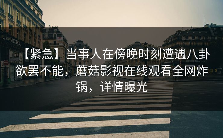 【紧急】当事人在傍晚时刻遭遇八卦 欲罢不能，蘑菇影视在线观看全网炸锅，详情曝光