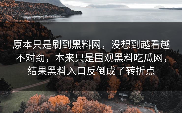 原本只是刷到黑料网，没想到越看越不对劲，本来只是围观黑料吃瓜网，结果黑料入口反倒成了转折点